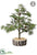 Tamarack Pine Tree With Pine Cone in Faux Wood Log - Green Brown - Pack of 6