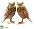 Silk Plants Direct Owl - Green Brown - Pack of 2