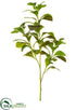 Silk Plants Direct Pepperomia Spray - Green Brown - Pack of 12