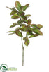 Silk Plants Direct Laurel Leaf Spray - Green Brown - Pack of 12