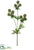 Globe Thistle Spray - Green Brown - Pack of 12
