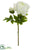 Peony Spray With Bud - Cream - Pack of 12