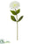 Zinnia Spray - Cream - Pack of 12