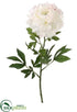 Silk Plants Direct Peony Spray - Cream - Pack of 12