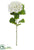 Hydrangea Spray - Cream - Pack of 12