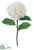Silk Plants Direct Hydrangea Spray - Cream - Pack of 12