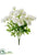 Ranunculus Bush - Cream - Pack of 12