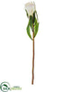 Silk Plants Direct Protea Spray - Cream - Pack of 12