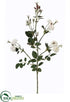 Silk Plants Direct Banksia Rose Spray - Cream - Pack of 12