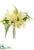 Magnolia, Eucalyptus Bouquet - Cream - Pack of 12