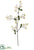 Mini Dogwood Spray - Cream - Pack of 12