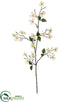 Silk Plants Direct Mini Dogwood Spray - Cream - Pack of 12