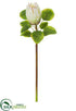 Silk Plants Direct Protea Spray - Cream - Pack of 12