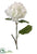 Hydrangea Spray - Cream - Pack of 12