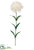 Carnation Spray - Cream - Pack of 12