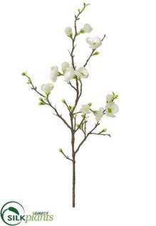 Quince Blossom Spray - Cream - Pack of 12