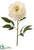 Silk Plants Direct Peony Spray - Cream - Pack of 12