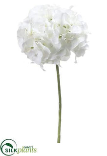 Hydrangea Spray - Cream - Pack of 12