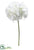 Hydrangea Spray - Cream - Pack of 12