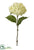 Hydrangea Spray - Cream - Pack of 12