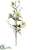 Silk Plants Direct Clematis Spray - Yellow Cream - Pack of 6