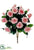 Rose Bush - Pink Cream - Pack of 12