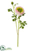 Silk Plants Direct Ranunculus Spray - Pink Cream - Pack of 12