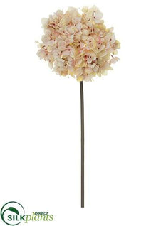 Hydrangea Spray - Rose Cream - Pack of 12