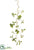 Laurel Leaf Hanging Vine - Green Cream - Pack of 12