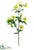 Silk Plants Direct Helleborus Spray - Green - Pack of 12
