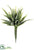 Mini Aloe Pick - Green - Pack of 6