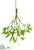 Silk Plants Direct Mistletoe Hanging Branch - Green - Pack of 12
