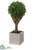 Silk Plants Direct Baby's Tear Ball Topiary - Green - Pack of 4