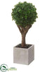 Silk Plants Direct Baby's Tear Ball Topiary - Green - Pack of 4