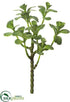 Silk Plants Direct Jade Plant Spray - Green - Pack of 12