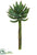 Mini Agave Pick - Green - Pack of 24