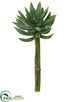 Silk Plants Direct Mini Agave Pick - Green - Pack of 24