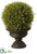 Glittered Pine Tree With Pine Cone - Green - Pack of 2