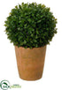 Silk Plants Direct Boxwood Ball - Green - Pack of 2