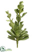Silk Plants Direct Echeveria - Green Gray - Pack of 12
