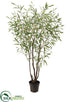 Silk Plants Direct Eucalyptus Tree - Green - Pack of 1