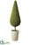 Berry Teardrop Topiary - Green - Pack of 2