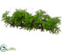 Silk Plants Direct Soft Cedar Centerpiece - Green - Pack of 1