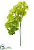 Silk Plants Direct Phalaenopsis Spray - Green - Pack of 6