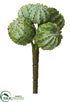 Silk Plants Direct Barrel Cactus Pick - Green - Pack of 12