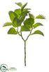 Silk Plants Direct Kalanchoe Leaf Spray - Green - Pack of 12