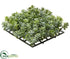 Silk Plants Direct Sedum Mat - Green - Pack of 12