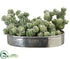 Silk Plants Direct Cactus in Silver Plate - Green - Pack of 1