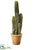 Silk Plants Direct Column Cactus - Green - Pack of 2