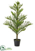 Silk Plants Direct Norfolk Pine Tree - Green - Pack of 1